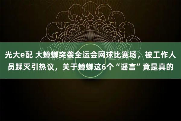 光大e配 大蟑螂突袭全运会网球比赛场，被工作人员踩灭引热议，关于蟑螂这6个“谣言”竟是真的